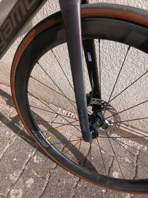 Megamo Raise TLR